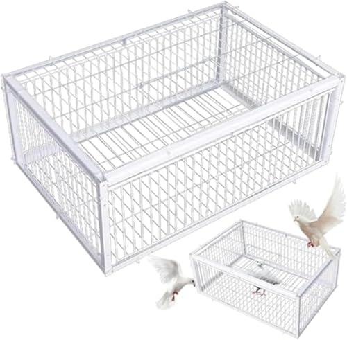 Dongdaping Gabbia per piccioni con due ingressi unidirezionali, gabbia per uccelli 40,6 x 30,5 x 25,4 cm con gabbia per piccioni lucernario