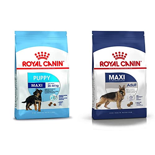 Image of Royal Canin Maxi Puppy, 4 kg & Maxi Adult, 4 kg