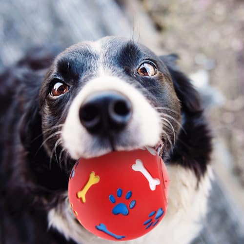 Balle à mâcher pour chien et chat accessoire de jeu interactif de 14 cm - 5