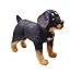 YONLIT Lifelike Rottweiler Dog Stuffed Animal Simulated Plush Puppy Toy Doll Super Realistic Black Dogs Act Like Real Excellent Gifts for Kids Birthday Party Dog Collection 12 Inches (Rottweiler)
