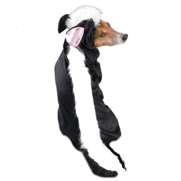 Casual Canine Lil' Stinker Dog Costume, X-Large (fits lengths up to 24
