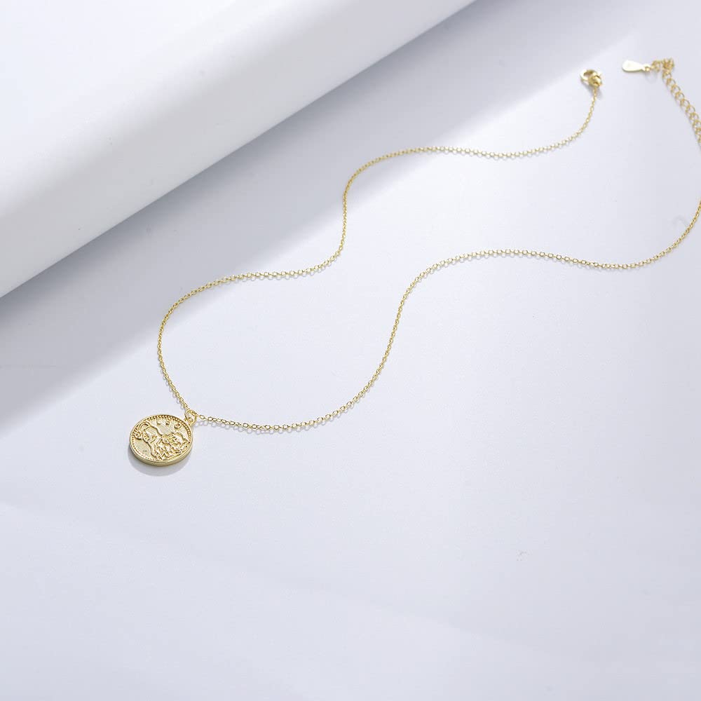 Sternzeichen Kette,S925 Silber Sternzeichen Halskette Für Frauen Exquisite Münze Halskette Gold Halskette Horoskop Anhänger Halskette Freundschaft Schmuck Geschenk Für Mädchen Männer,Steinbock