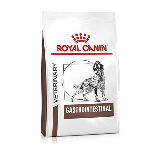 ROYAL CANIN Gastro Intestinal Hund (GI 25) 15 kg