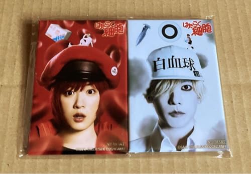 ͂炭זE 撅TXNGAʃobW