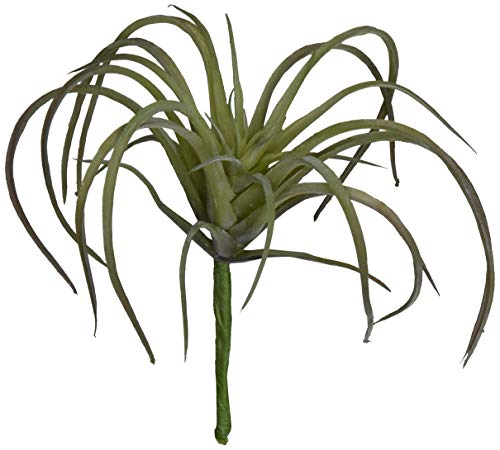 ������(Tokyodo) ���� MAGIQ �G�A�v�����c �s���N�O���[�� L11×W11�p FG001364-025