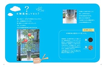 Tankobon Softcover Tsuchi o tsukawanai hajimete no yasaizukuri : kantan suikoÌ„ saibai Book