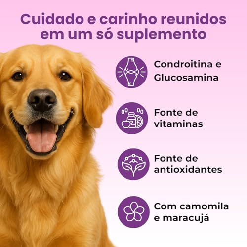 Umami Suplemento Canino 16 em 1 – 240g | Sabor Carne Natural | Fortalece Articulações e Imunidade |