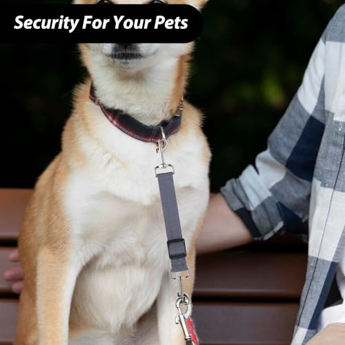 Qianyu 2 Stück Sicherheitshalsbandclips für Hunde Verstellbar Stachelhalsband Sicherungsverschluss Leinenverbinder Leinenclips für Hundewelpen Geschirr Halsband Begleiter Sicherheitsclip