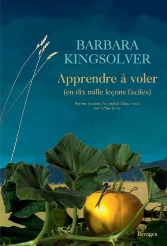 Apprendre à voler: (En 10000 leçons faciles)