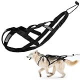 Premium Dog Pulling Harness for Sledding, Weight Pulling, and Bikejoring, Durable Mushing Harness for Active Dogs (Black, XL)