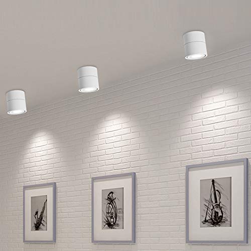Image of LED Ceiling Spotlight-Indoor 360Adjustable Surface Mounted 10W COB Ceiling Downlight-Wall Lamp for Picture Background Wall Display Lighting(White,6000K Cold Light)