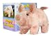 "Pudgey Piglet" The Walking, Oinking, Baby Pig