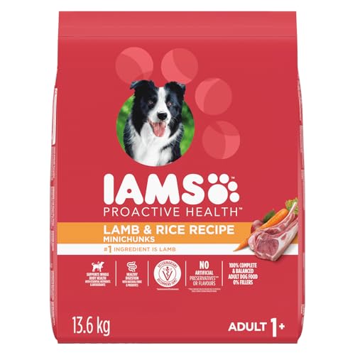 IAMS Proactive Health Minichunks Dry Dog Food – Crunchy Kibble For Adult Dogs – Lamb & Rice Recipe – 13.6KG (30LB) Bag image 5