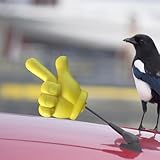 Zoom IMG-1 hohuzsruk decorazione per antenna auto Zoom IMG-1 hohuzsruk decorazione per antenna auto