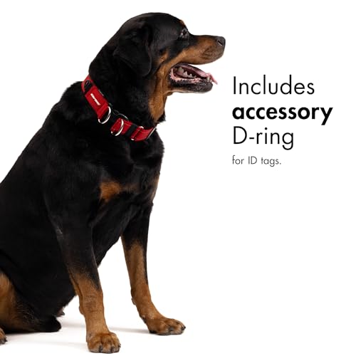 EzyDog Double Up Halsband, Schwarz, Medium (29cm-40cm)