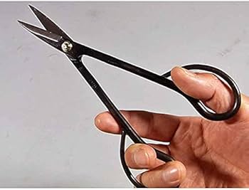 【本職用】盆栽道具セット 6点｜剪定鋏・芽切鋏・小枝切・又枝切 他【美品】 本職用】盆栽道具セット 6点｜剪定鋏・芽切鋏・小枝切・又枝切 他【美