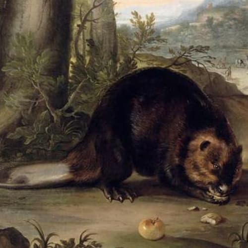 S8 Ep149: 6/8. The Great Slaughter: Audubon's Regret and the Lewis and Clark Grizzly Massacre — Dan Flores — The opening of the American West initiated an unprecedented destruction of animal populations. Flores documents that John James Audubon, while initially kil