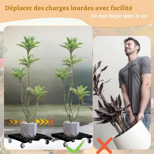 Planche à roulettes pour plantes robustes déplacer pot de fleurs sans effort - 7