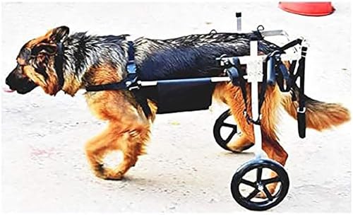 Duży wózek inwalidzki dla psa do rehabilitacji tylnych nóg, regulowany dla psów o wadze 20-60 kg, solidna pomoc w poruszaniu się z kółkami, idealny do regeneracji i aktywnego stylu życia
