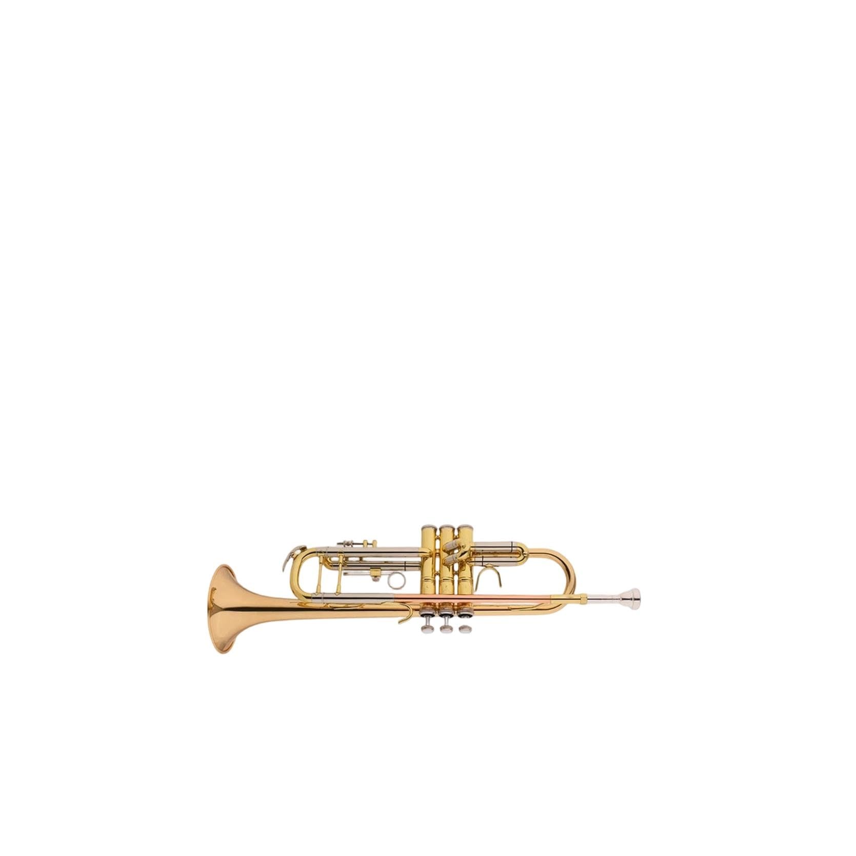 Trumpet Trompeta en si bemol de calidad profesional