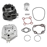 50ccm Zylinder Kit, inkl. Zylinderkopf Kolbenringe Kolbenclips Dichtsatz, 40mm Zylinderbohrung und 10mm Kolbenbolzen, kompatibel mit YAMAHA Aerox 50 SA14 MBK Nitro ab Bj. 1999