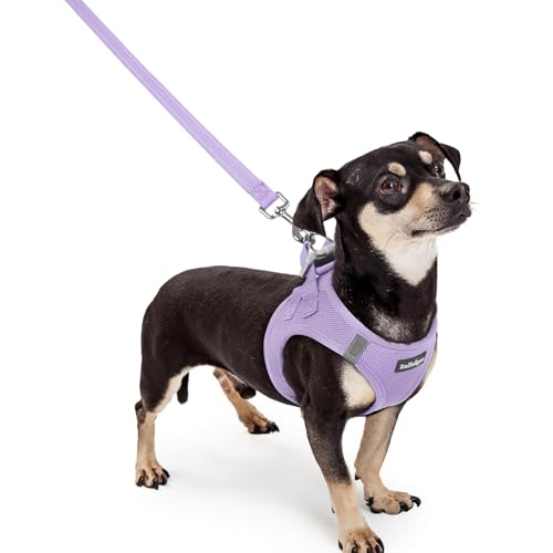 Image of rabbitgoo Dog Harness Small Sized and Leash Set, Step-in Puppy Pet Vest