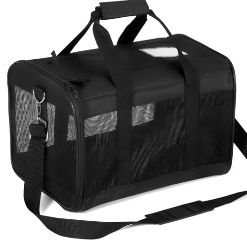 Quality Carriers The 15 best products compared Your Motor Guide