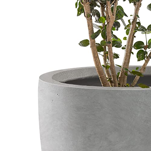 Image of Kante Set of 3 Pale Gray Concrete Bowl Planters 18 inch 14 inch 10 inch Dia