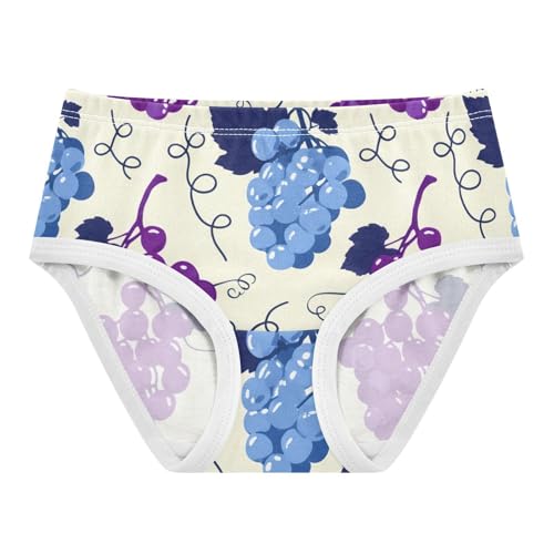 Cotton Girls Underwear Toddler Blue Purple Grape Beige Girl Panties Cute Flower Briefs Underpants 2t