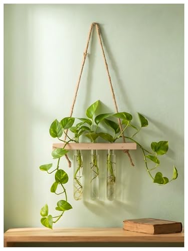 Image of Bombay Greens ; Sow, grow, eat, repeat Hanging Planter with Wooden Holder & Rope | 3 Test Tube Hanging Plant Indoor Stand | Wooden Planter for Home Decor, Living Room, Balcony & Office Decoration