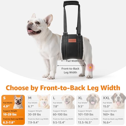 Image of LOOBANI Portable Dog Sling for Back Legs, Hip Support Harness to Help Lift Dogs Rear for Canine Aid and Old K9 Cruciate Ligament Rehabilitation