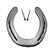 Echtes getragenes Pferde Hufeisen mit 2 Hufnägeln - Glücksbringer -, entrostet, zum Basteln, Dekorieren, Verschenken.Dekoration (gereinigt mit 2 Nägeln)
