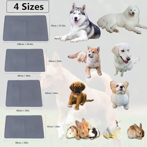 Carjuvel Pacote Com 2 Forros Laváveis Para Gaiola De Porquinho-Da-Índia 61 Cm X 45 - Cama Reutilizáv