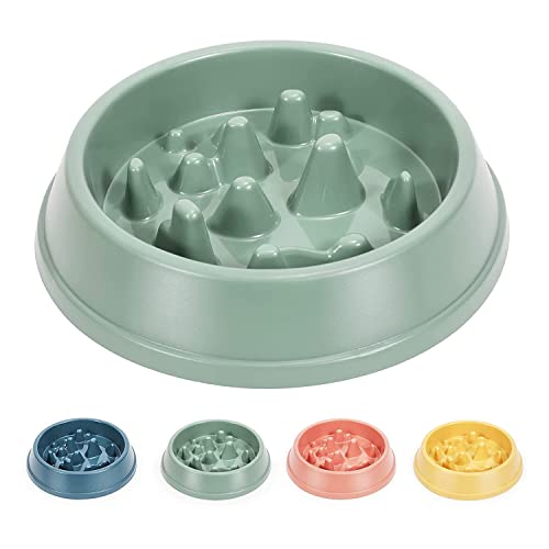 Emily Pets Durable Dog Slow Feeder Bowl Dog Food Bowl Slow Down Eating Speed and Increase Eating Time,Preventing Choking,Non-Slip and Easy to Clean(Green) (B09LHS48J3) Amazon Price History, Amazon Price Tracker