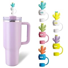 Colourful 5PCS of Cactuses