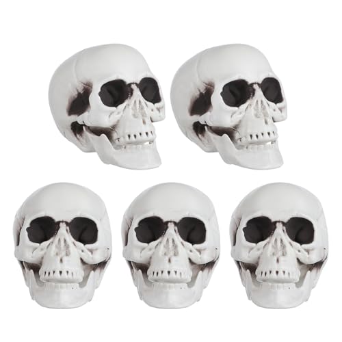 Toddmomy �~�j�?�w�b�h �v���X�`�b�N�����W���͌^ �n���E�B�[�������p���A�����t�B�M���A �z�[���f�R���[�V������p�[�e�B�[�f�B�X�v���C