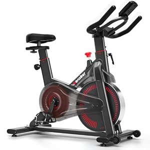 Wenoker Exercise Bike for Home Use,Spin Bike with Adjustable Magnetic Resistance, Quiet Indoor Cycling Bike Home Gym Equipment Stationary Bike with LCD Display and APP, 350LBs Capacity