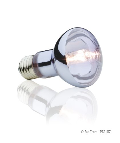 Exo Terra Halogeen Basking Spot Lamp, 25 W - Afbeelding 3