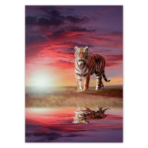 Poster photo Décoration murale 50 x 70 cm Tigre majestueux N° H7693Z_PL1H