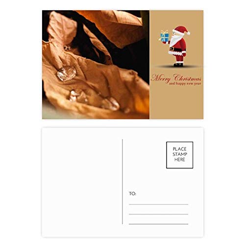 Cartes postales feuilles mortes en lot de 20 pour vos messages d'automne chaleureux