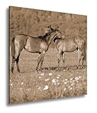 Impression avec une encre pigmentée résistante aux UV