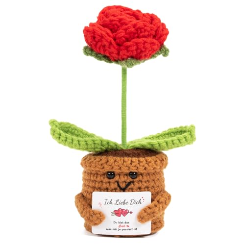 Vinuwu Regalo para mujeres y hombres – Rosa de ganchillo hecha a mano en maceta, rosa de bolsillo, regalo de pareja, regalo de amor para aniversario, día de San Valentín o aniversario de boda para él Vinuwu Regalo para mujeres y hombres – Rosa de ganchillo hecha a mano en maceta, rosa de bolsillo, regalo de pareja, regalo de amor para aniversario, día de San Valentín o aniversario de boda para él