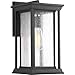 Progress Lighting P5610-31 Endicott Outdoor, Black