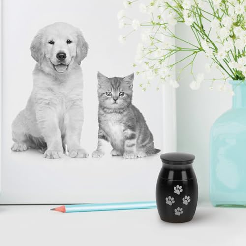 TOPBATHY Mini Stainless Steel Pet Urn Canister Portable Ashes Holder for Dogs and Cats Lightweight Memorial Keepsake with Polished Surface - Image 2
