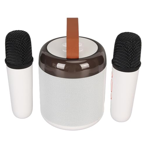 Conjunto de 2 microfones, alto-falantes de karaokê requintados 5.3 para quarto para acampamento (#1)