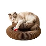 Kitty kurlz Magic Organ Cat Scratcher Board Cat Ball Adventure The Ultimate Interactive Mental Physical Exercise for Indoor Cats Toy - Image 2