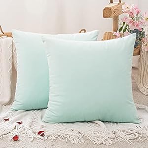 Miulee Set of 2 Velvet Cushion Covers, Decorative Cushion Covers for Sofa Cushion, Lumbar Cushion, Throw Pillow, With Zip for the Sofa, Bedroom, Car