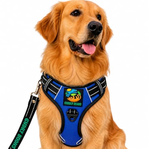 Image of Adjustable Padded Dog Harness with Leash, Blue, L (25-35 kg)