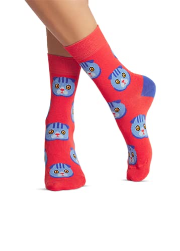 JNRB Women's Cotton Colorful Bright Crew Dress Novelty Funny Cute Cat Printed Socks, S-M (Scottish Fold)