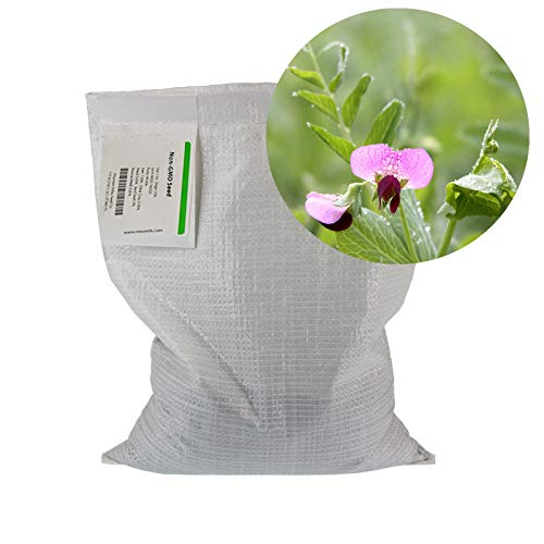 Austrian Field Pea Cover Crop Seeds - 5 Lbs ~9,000 Seeds - Nitrogen Fixing Viny Legume Cover Crop